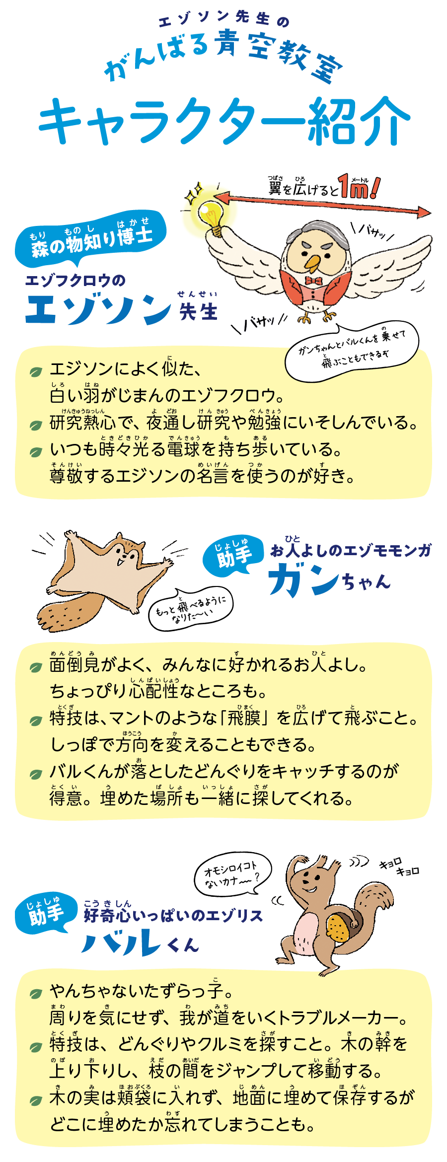 キャラクター紹介/教授：エゾソン エジソンによく似たフクロウ。いつも電球を持ち歩いている。電球は時々光る。タイミングは不明。エジソンの名言を好んで使う。/助手：バルくん 好奇心が強いエゾリス。あまり周りを気にせず我が道を行く我が道をいく。トラブルメーカー。/助手：ガンちゃん 心配性な性格のエゾモモンガ。バルくんが落としたどんぐりをキャッチするのが得意。面倒見がいい。/ポスト：北海道の森にある相談ポスト。海や山、時には都会からもエゾソン先生への手紙が届く。