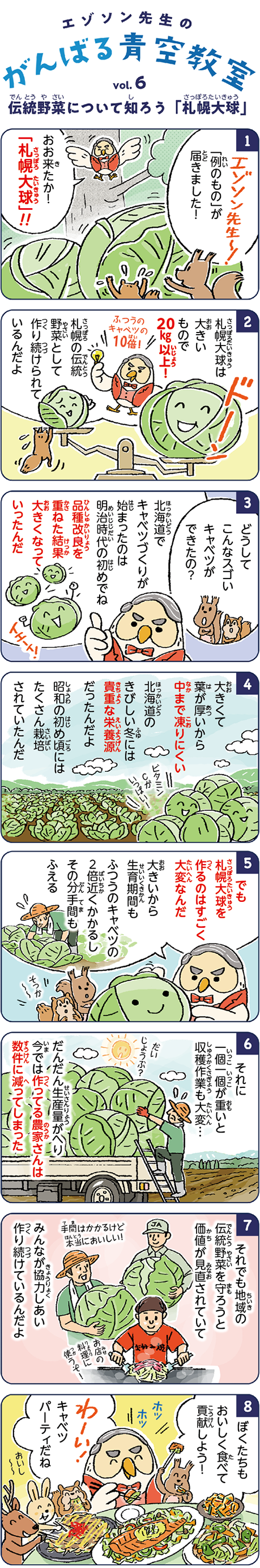札幌大球は大きいもので20kg以上！ 札幌の伝統野菜として作り続けられているんだよ